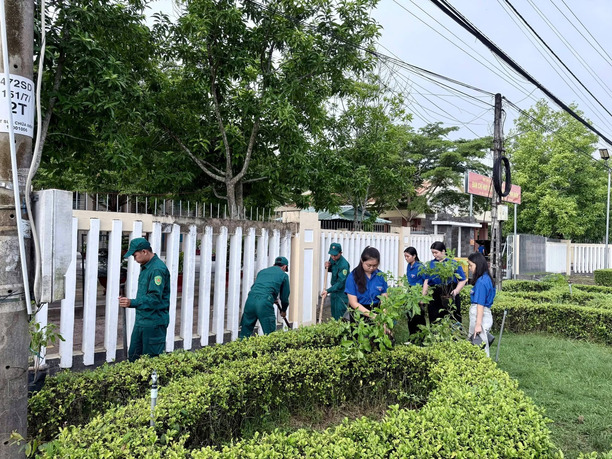 🌿 NGÀY CHỦ NHẬT XANH – HƯỞNG ỨNG PHONG TRÀO “TÔI YÊU TỔ QUỐC TÔI”